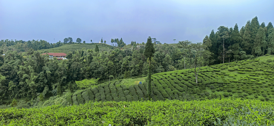 fikkal ilam