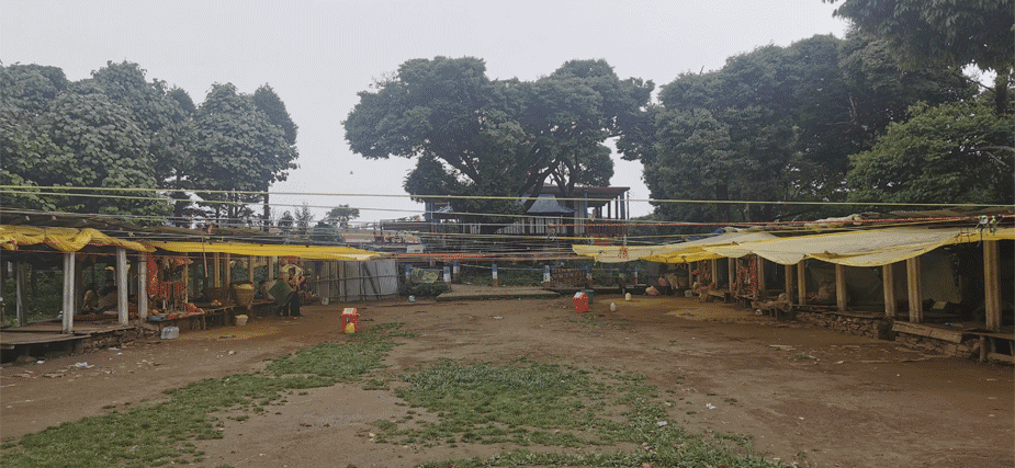 market in pathivara ilam